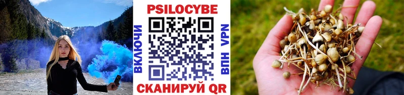 Галлюциногенные грибы мицелий  Шадринск 